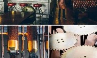 Discover the Best Willbet Restaurants for Unforgettable Dining Experiences and Unique Cuisines