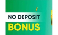 Online Casino No Deposit Bonus at Willbet Casino