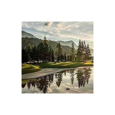 Interwetten Schweiz: Your Ultimate Guide to Sports Betting in Switzerland