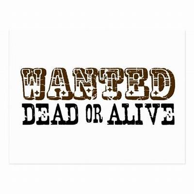 Discover the Thrills of Wanted Dead or Alive Casino and Experience Unforgettable Gaming Adventures