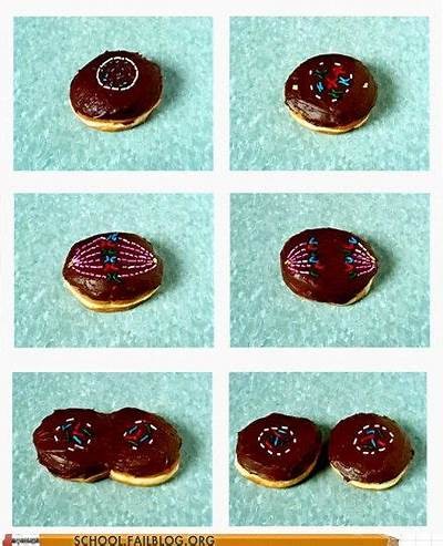 Innovative Techniques for Efficiently Dividing Donuts with a Hacksaw: A Guide to Precision and Creativity