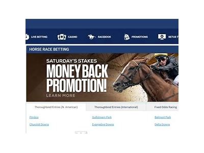 Exploring BetUS on Reddit: Insights, Reviews, and User Experiences in Online Betting Community