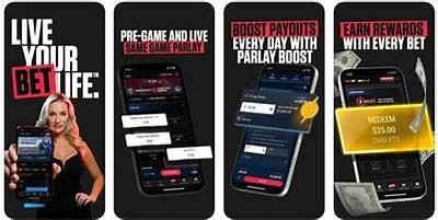 Willbet Sportsbook App Review Features Bonuses and How to Maximize Your Betting Experience