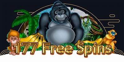 Get Your Hands on the Latest Willbet Online Casino Promo Code