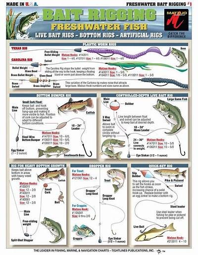Exploring the Thrills of Big Bass Fishing: Tips, Techniques, and Best Locations