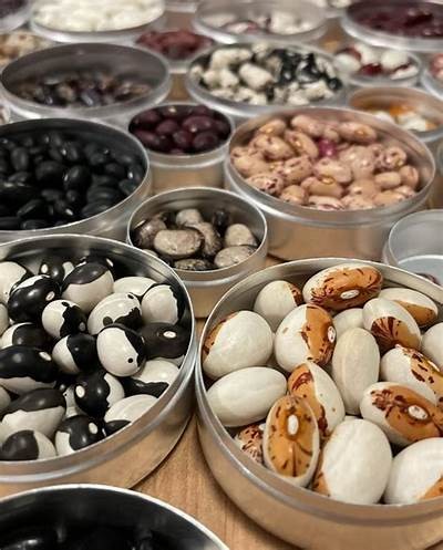 Explore the Delicious and Diverse Confectionery Menu at Willbet for All Your Sweet Cravings