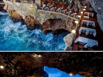 Discover the Best Willbet Restaurants for Unforgettable Dining Experiences and Unique Cuisines