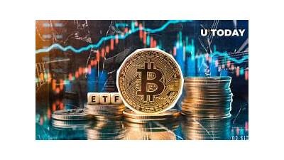 Comprehensive Review and Ultimate Guide to Willbet Casino Featuring Bonuses Games and Secure Payments